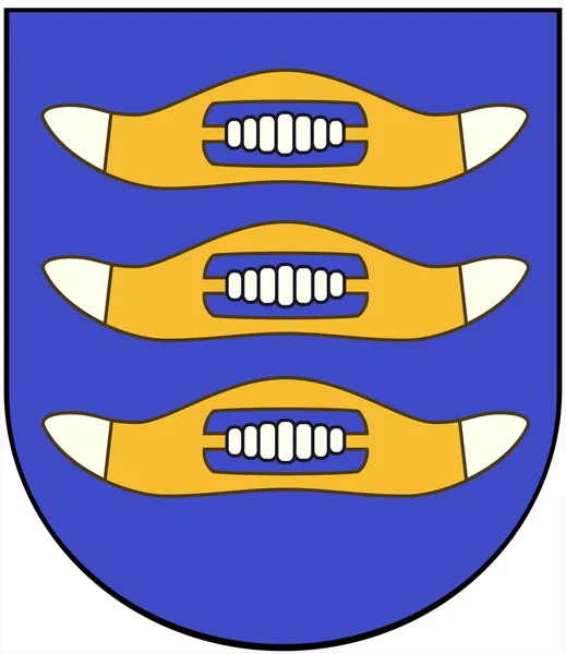 Wappen der Stadt Hyvinkaa. Finnland — Stockfoto