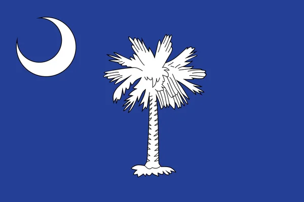 Dél-Karolina állami zászló. Amerikai Egyesült Államok — Stock Fotó