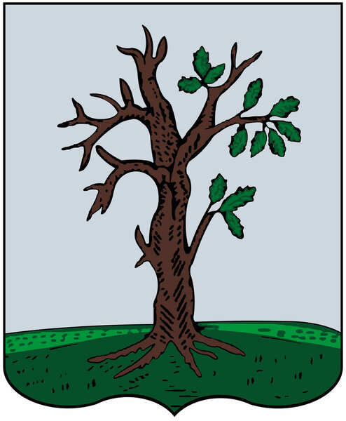 Wappen der Stadt Brjansk starodub 1782 — Stockfoto