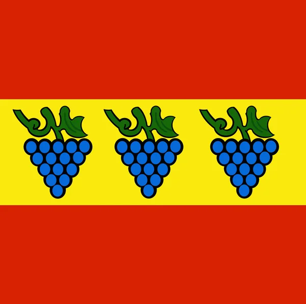 Vlag van de stad van Belgorod-Dnjestrië. Oekraïne — Stockfoto