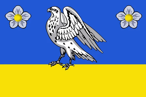 Flagge novomalorossiyskaya Dorf. Region Krasnodar — Stockfoto