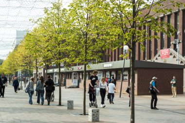 Kalininingrad türleri. Rusya Eylül 2020