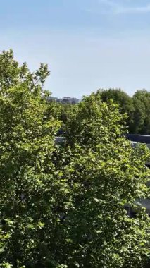 Ağaçların yaprakları, açık bir gökyüzünün altında rüzgarla hafifçe hareket ediyor. Yeşil yaprakların doğal hareketi, mevsimsel değişimi, tazeliği ve açık havanın dinamik enerjisini gösterir..