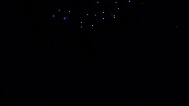 Gece vakti havai fişekler kara gökyüzünde patlayıp şenlikli bir gösteride izler ve kıvılcımlar yaratıyor. Canlı havai fişekler karanlığı aydınlatır, canlı enerjiyle özel durumları kutlarlar..