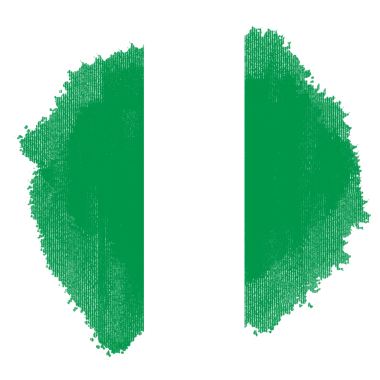 Nijerya Fırça Bayrağı DokusuName