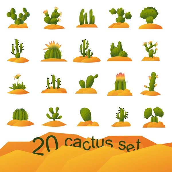 Verschillende soorten in cactus planten. — Stockvector