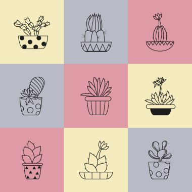 El ayarla, kaktüs tencerelerde çekilmiş..