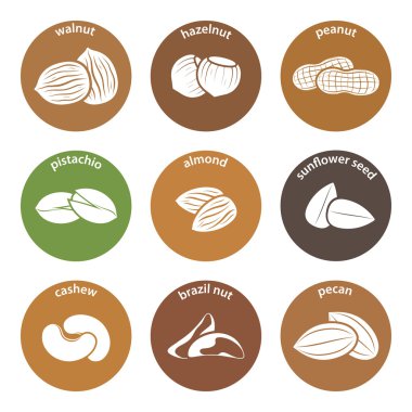 fındık Icon set