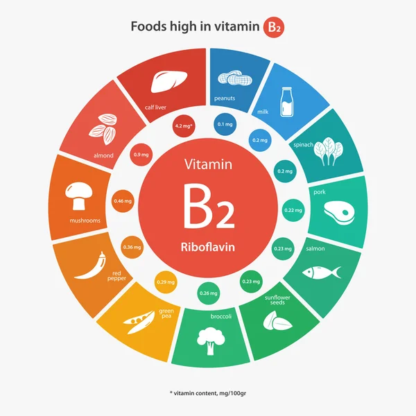 Lebensmittel mit hohem Vitamin-b2-Gehalt — Stockvektor