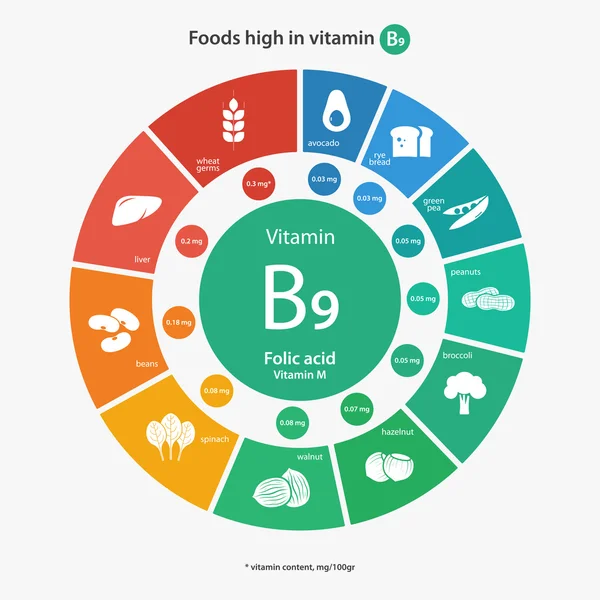 Lebensmittel mit hohem Vitamin-B9-Gehalt — Stockvektor