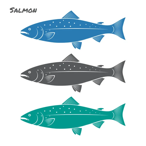 Ilustração do vetor de peixe de salmão no fundo branco —  Vetores de Stock