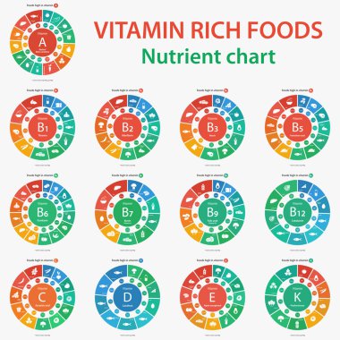 Vitamini yönünden zengin besinler. Besin grafik.