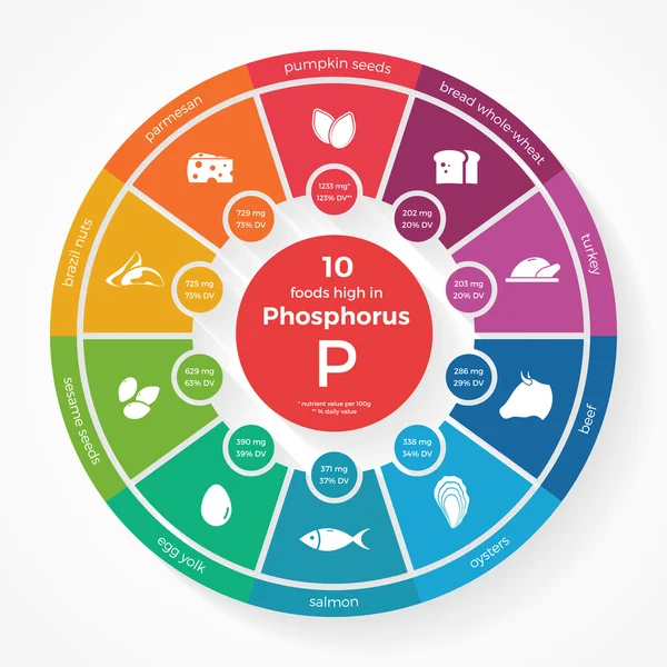 10 aliments riches en phosphore — Image vectorielle