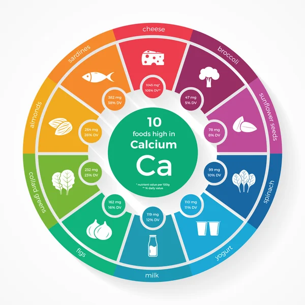 10 aliments riches en calcium — Image vectorielle