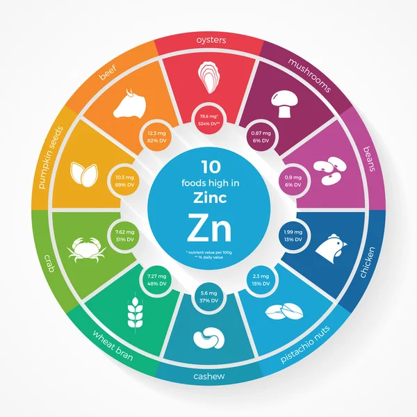 10 aliments riches en zinc. Infographies nutritionnelles . — Image vectorielle