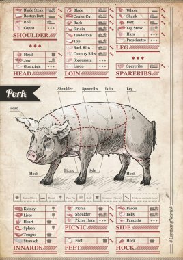 Domuz - mutfak Cheat Sheet