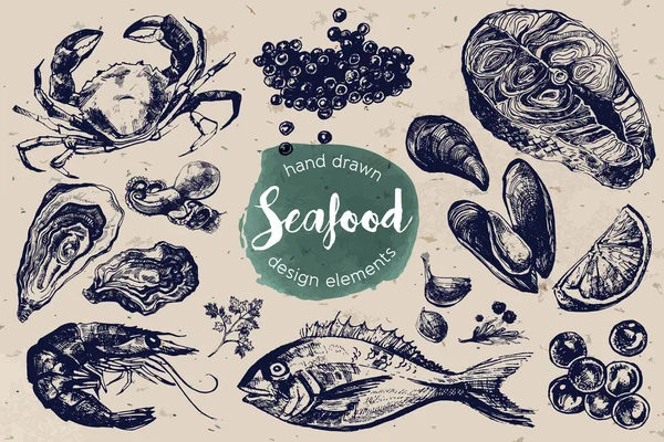 Hand drawn sketch set of seafood. Vector illustration — Stock Illustration Hand drawn sketch set of seafood. Vector illustration Stock Illustration