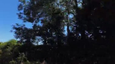 İngiltere 'nin tarihi hamamından Newport City Galler' e kadar düşük açılı araba monte edilmiş kamera görüntüleri. Görüntüler 13 Temmuz 2025 'te çekildi. İngiltere 'yi gezip Galler' e ve İngiltere 'nin kırsal bölgelerinden geçeceğiz.