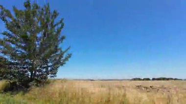 İngiltere 'nin tarihi hamamından Newport City Galler' e kadar düşük açılı araba monte edilmiş kamera görüntüleri. Görüntüler 13 Temmuz 2025 'te çekildi. İngiltere 'yi gezip Galler' e ve İngiltere 'nin kırsal bölgelerinden geçeceğiz.