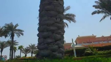 9 Eylül 2025. Otomobil montajlı kamera sokaklar ve yollar görüntüsü Birleşik Arap Emirliği 'nin modern Dubai şehri BAE olarak da bilinir. Yol, Trafik ve Yüksek Binaların Düşük Açı Görüntüsü Pencere Aracına monte edilmiş Kamera ile Yakalandı.