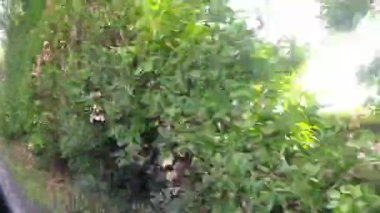 British Highways 'de araba kullanmak. British Road Travel and Traraffic during Blue Sky ve çoğunlukla Sunny Day Drive 'ın 29 Eylül 2025' te İngiltere Otoyolları ve Otoyolları 'nda çekilmiş görüntüleri.