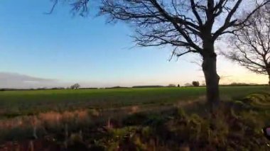 20 Aralık 2025 'te İngiltere' nin Bedfordshire ve Hertfordshire Eyaletleri 'nin Dar Yol ve Karayollarında Düşük ve Geniş Açı Araba Seyahati, Soğuk ama Güneşli Gün' de Büyük Britanya 'ya Bağlı Kamera.