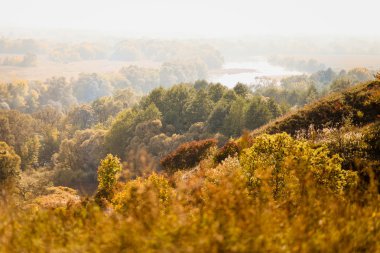 Sıcak Sonbahar manzara. Nehri üzerinde Üstten Görünüm.