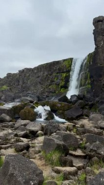 İzlanda Şelalesi Lav Kayalıkları Arkaplanı ile Şelale. Yüksek kalite 4k görüntü
