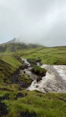 İzlanda Şelalesi Şelalesi Şelale Şelalesi Şelale Nehri İzlanda Doğa Arkaplanı. Yüksek kalite 4k görüntü