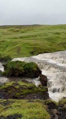 Vahşi Nehir Yosunlu Kayalıklar Arkasında Akıyor. Yüksek kalite 4k görüntü