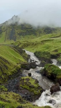 Şelale Duvar Kağıdı Şelalesi 'nin yosunlu manzarası. Yüksek kalite 4k görüntü