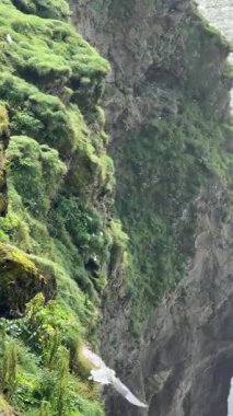 Yeşil Kayalıklı Kara Kum Plajı. Yüksek kalite 4k görüntü