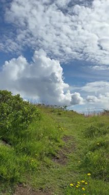 İzlanda 'da Blue Sky' ın altındaki yemyeşil çayırdan geçen toprak patika. Yüksek kalite 4k görüntü