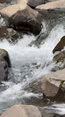 Lush İzlanda 'da köpüklü su ile Rocky Nehri Akıntısı. Yüksek kalite 4k görüntü