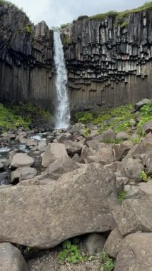 İzlanda manzarasında Yeşil Yosun ile Basalt Kayalıkları 'nda Görkemli Şelale. Yüksek kalite 4k görüntü