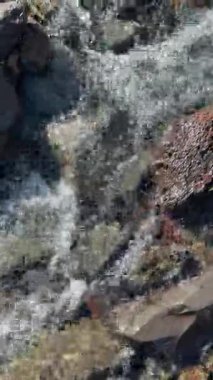 Rocky Şelalesi, İzlanda 'da Moss' la birlikte dik yamaçtan aşağı akıyor. Yüksek kalite 4k görüntü