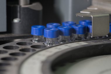 Analiz için bekleyen satır örnek şişeleri