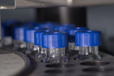 Analiz için bekleyen satır örnek şişeleri