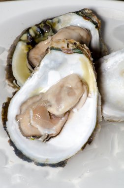 Buz closeup ile taze istiridye