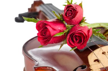 Keman ve kırmızı güller