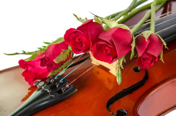 Violin and red roses — Stock Photo, Image