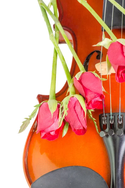 바이올린과 레드 장미 — 스톡 사진