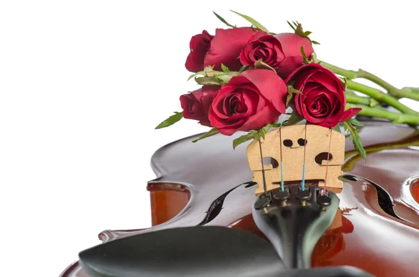 Violin and red roses — Stock Photo, Image