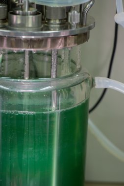 Cam kabı aygıt boru ile laboratuvar için