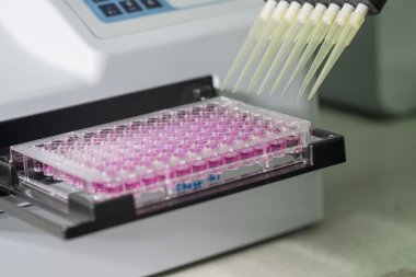 96 de mikrobiyolojik laboratuvar için plaka