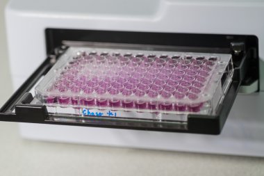 96 de mikrobiyolojik laboratuvar için plaka