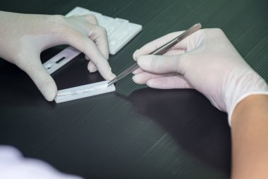 Örnek kaldırmak için cımbız kullanarak Laboratuar teknisyeni