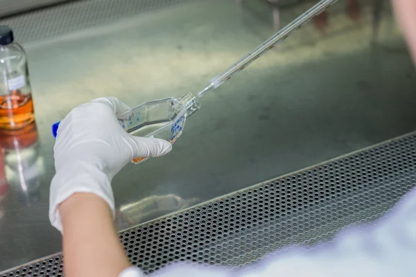 Forskare överför testning vätska i biosäkerhet skåp — Stockfoto