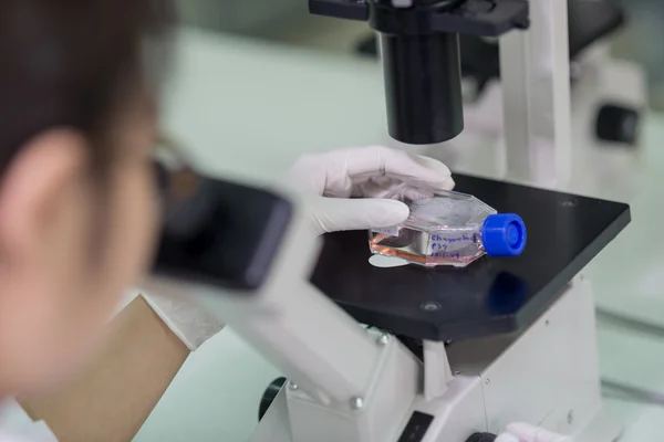 Técnico examinando el espécimen bajo microscopio —  Fotos de Stock