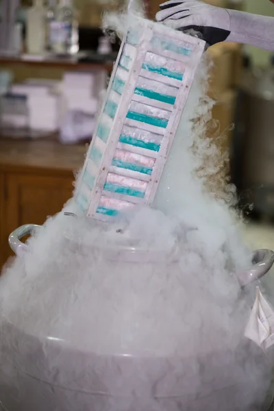 Technician removing specimens from freezer — Stock Photo, Image